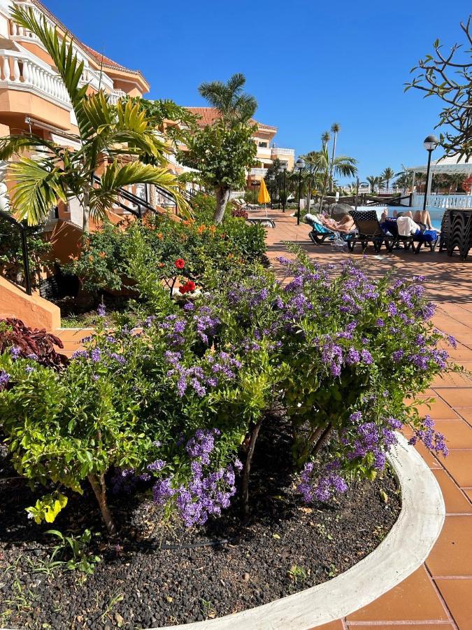 Comfort Apartment En Tenerife Royal Gardens Playa de las Américas Eksteriør billede